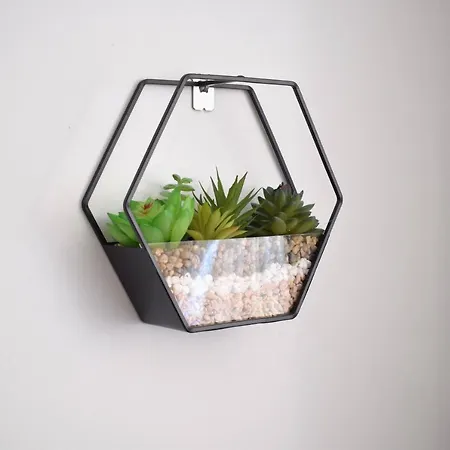 Aloe Studio *